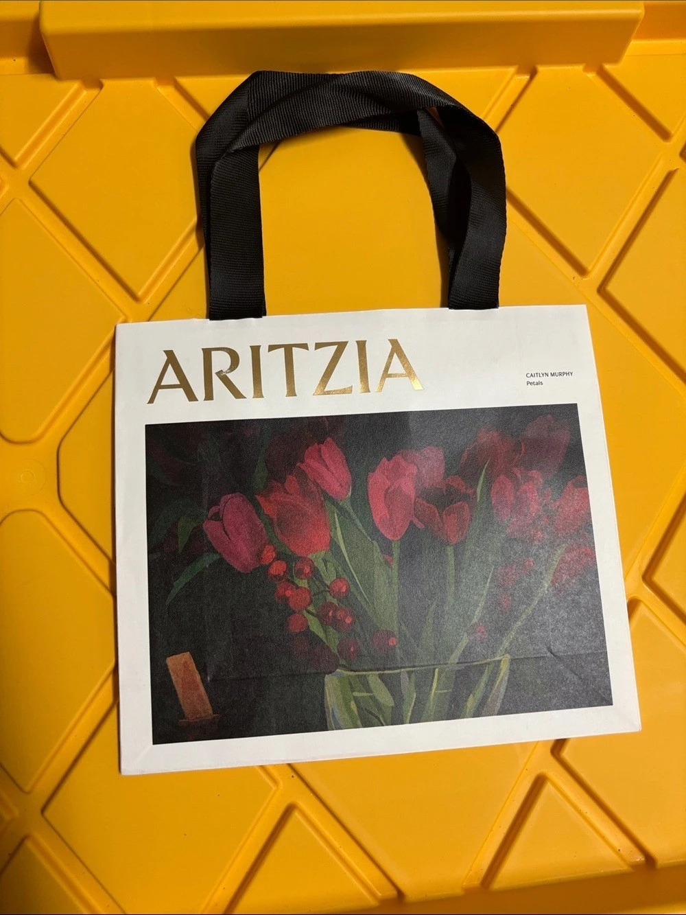 Aritzia Artist Shopping Bag by Caitlyn Murphy Floral Tote (Small)